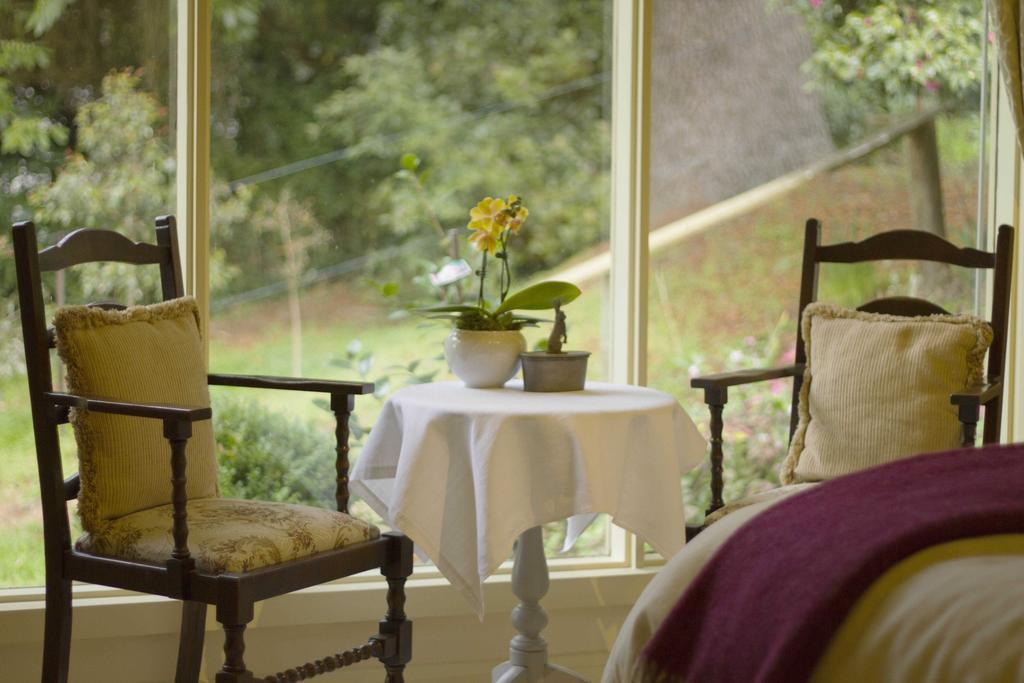 Billy Buttons Bed And Breakfast Emerald Kamer foto